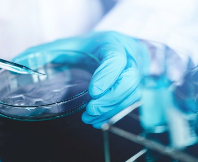 Coronavirus : l’ivermectine, nouvelle chloroquine ?