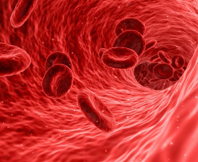 Septicemie (infection dans le sang ou sepsis) : definition, symptomes, traitements