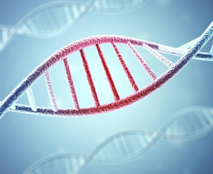 Le hasard : la cause d’un tiers des cancers