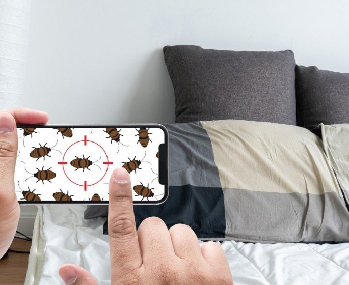 Comment se debarrasser des punaises de lit ?