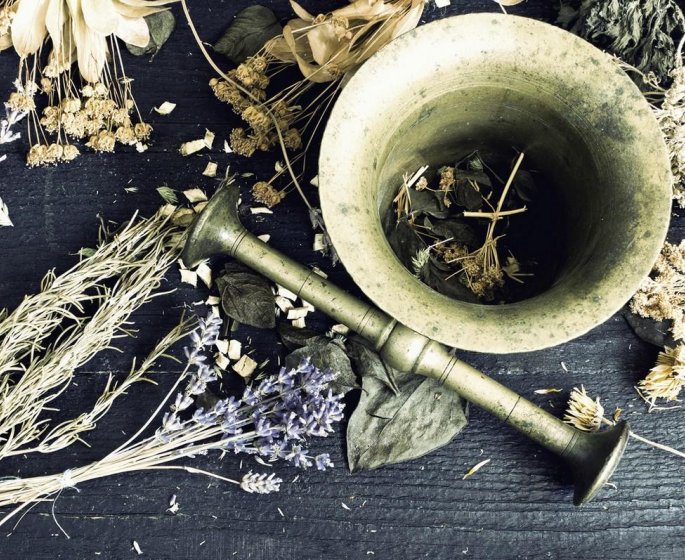 Phytotherapie : le melange bourrache et onagre