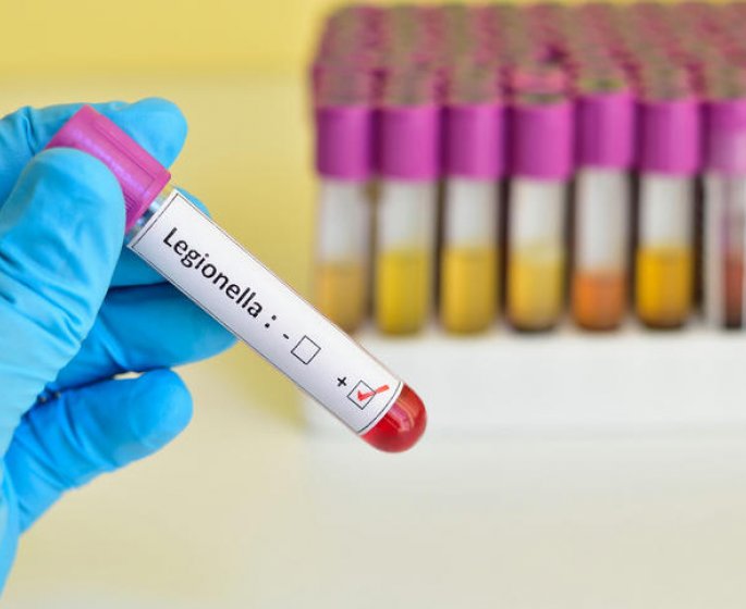Legionellose : le traitement antibiotique