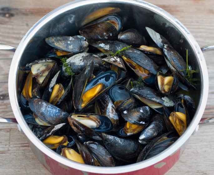 Alerte : La consommation des coquillages du bassin d-Arcachon interdite