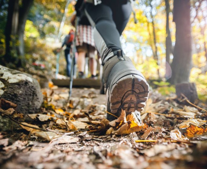 Marche ou course a pied : le corps s’adapte sans reflechir