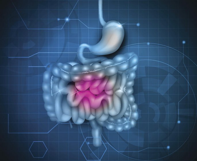 Fibroscopie digestive : les etapes
