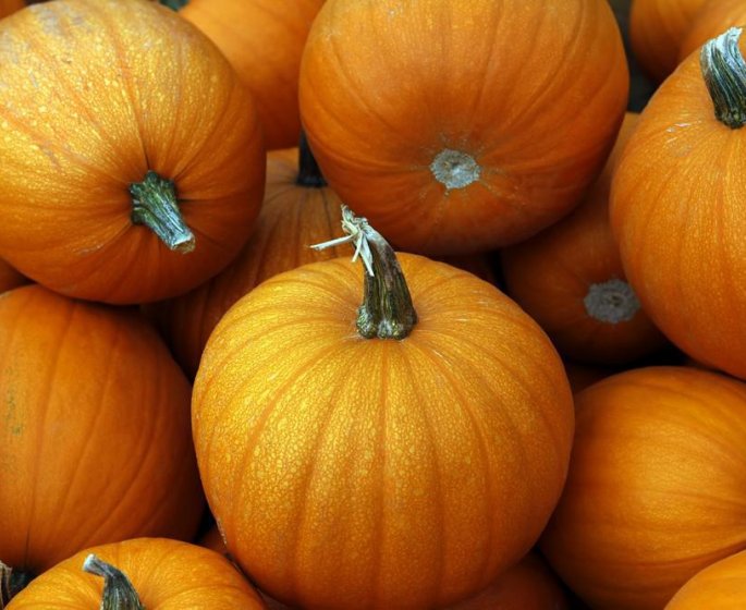 Les aliments contre le cancer du poumon