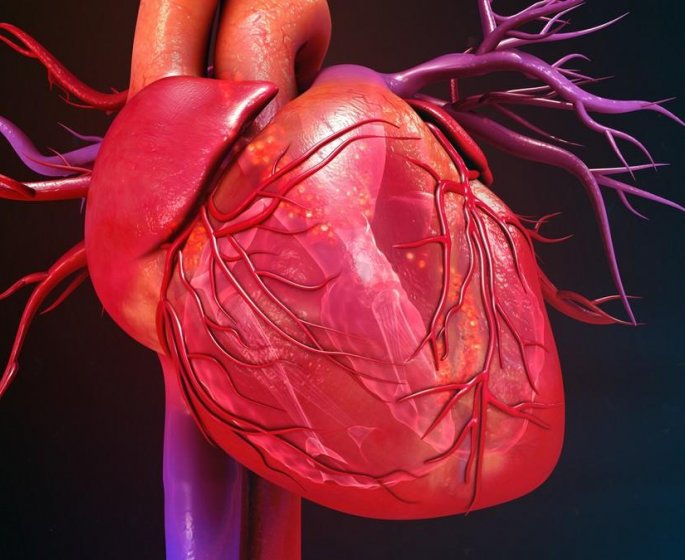 Infarctus : certains stents pourraient-ils conduire a des risques hemorragiques ? 