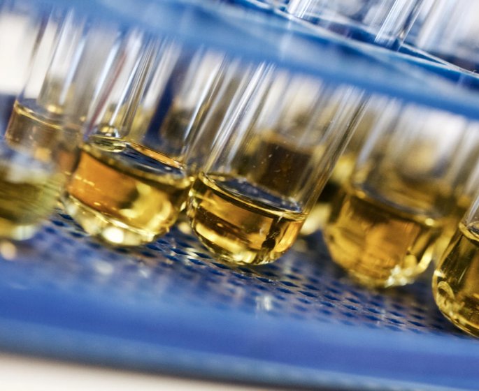 Acide urique eleve et diabete : le lien