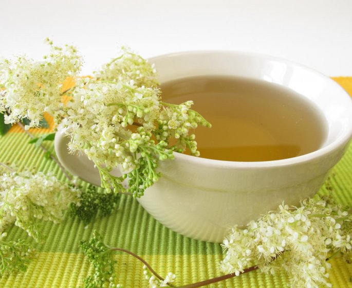 Reine-des-pres, une tisane qui fait maigrir