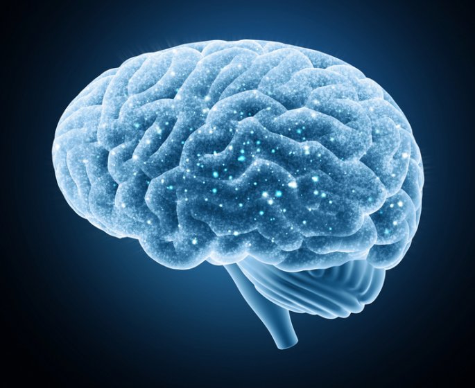 Qu-est-ce qu-une hydrocephalie ?