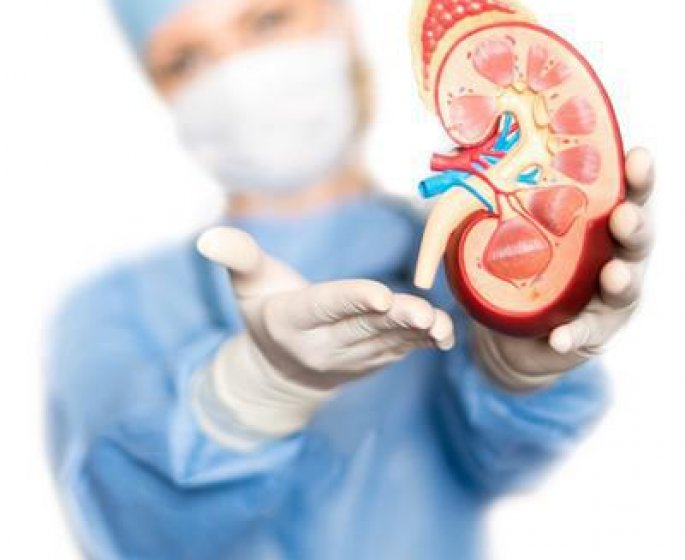 Cancer du rein droit : 3 symptomes d-alerte