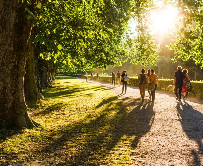 Nature : vivre a proximite d’un espace vert ralentit le vieillissement