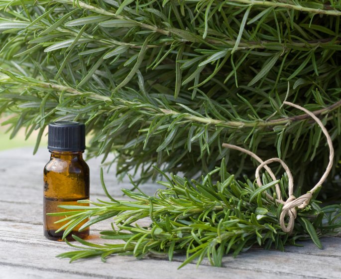 Toux seche : une recette de sirop maison