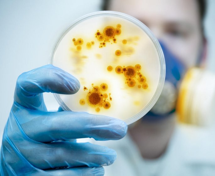 4 germes mortels qui menacent l’humanite