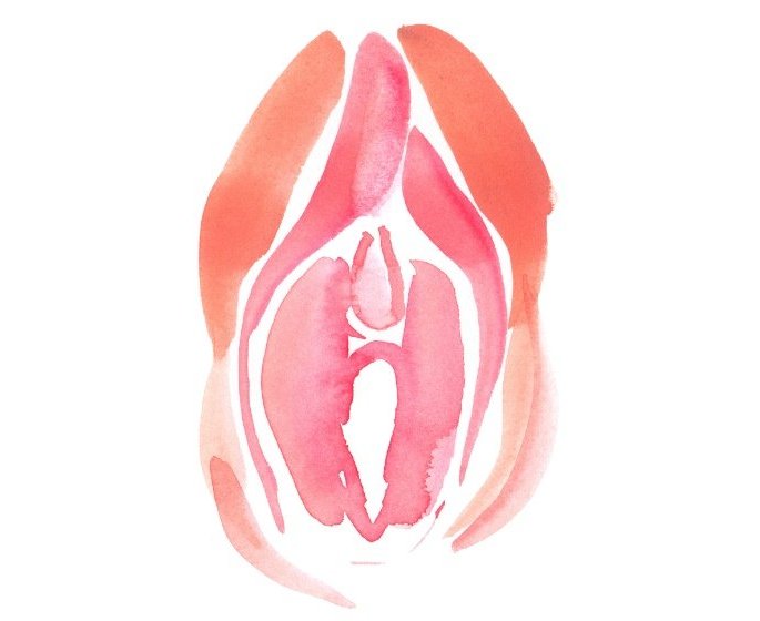 Clitoris : decouvrez la zone du cerveau qui reagit au toucher genital