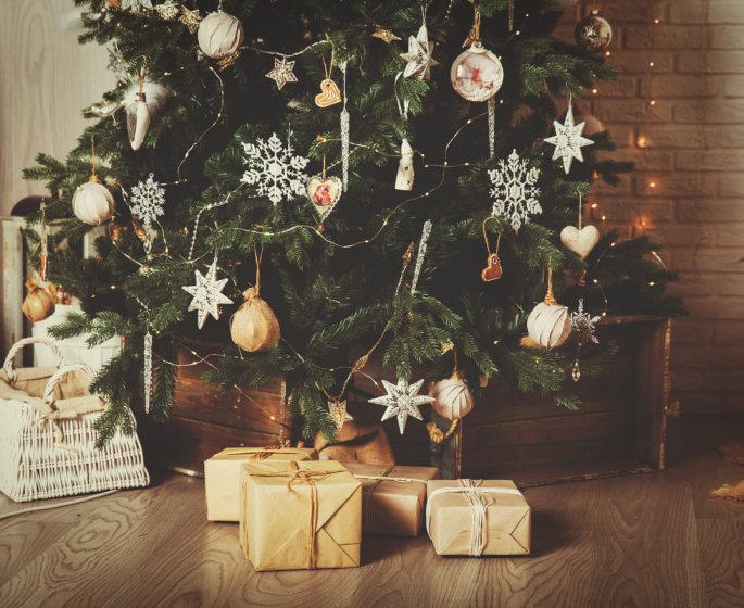 Champignons, insectes, parasites : votre sapin de Noel est bourre d-allergenes !