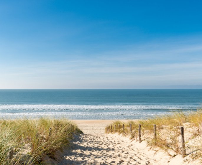 Plage, piscine... Peut-on attraper le coronavirus en se baignant ?