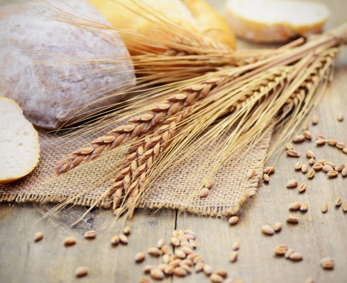 Gluten : il pourrait provoquer une inflammation cerebrale
