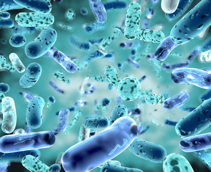 Une bacterie resistante aux antibiotiques fait deux victimes en Belgique