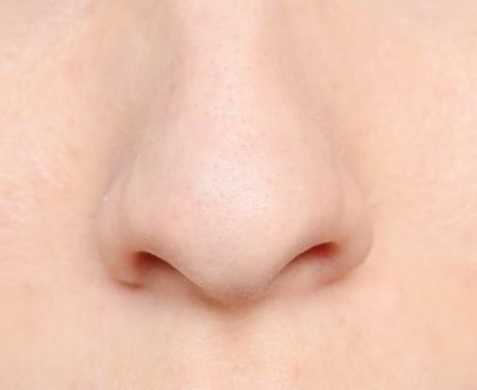 6 conseils pour conserver un bon odorat
