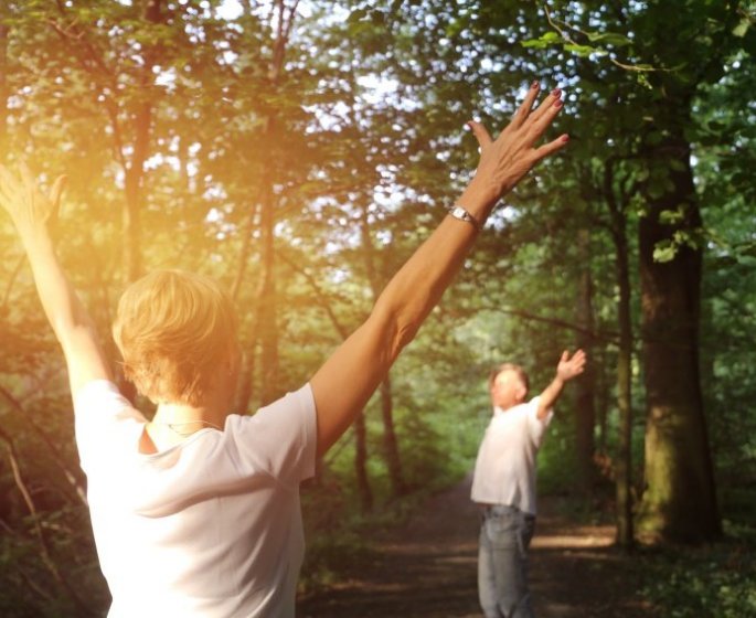 Sylvotherapie : les arbres peuvent-ils nous guerir ? 