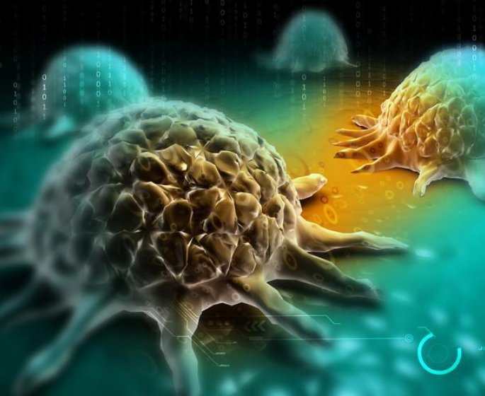 Sucre : l’aliment qui nourrit et aide le cancer a se developper