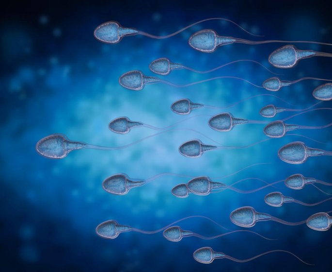  Covid-19 : le virus pourrait impacter la qualite de votre sperme