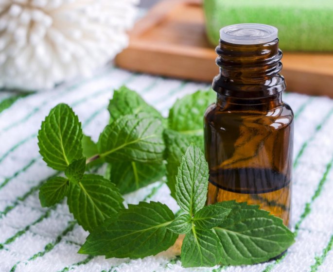 Comment soigner une sinusite avec des huiles essentielles ?