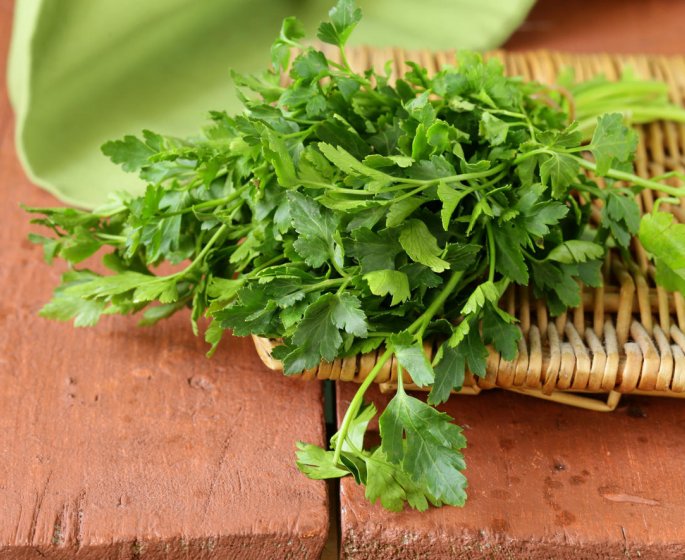 Infusion de persil : des bienfaits sur la digestion