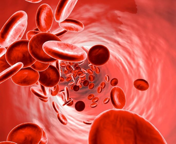 Hemopathies malignes : les cancers du sang qui touchent 35 000 nouvelles personnes chaque annee 