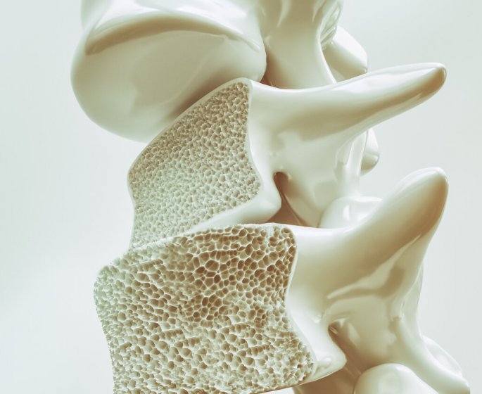 Les chercheurs decouvrent une nouvelle hormone pour prevenir et soigner l-osteoporose