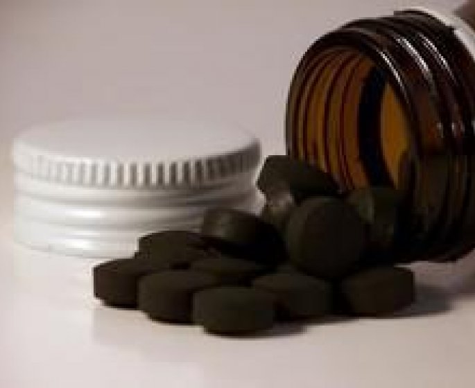 Charbon vegetal : une poudre magique en sante !