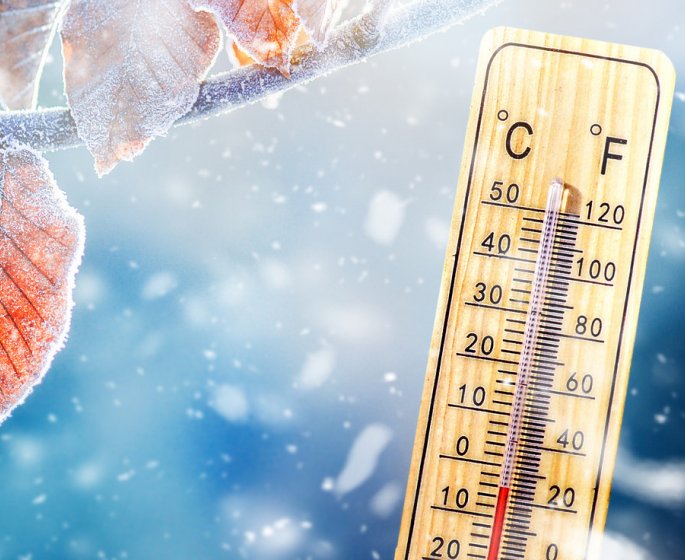 Grand froid : les dangers pour votre sante