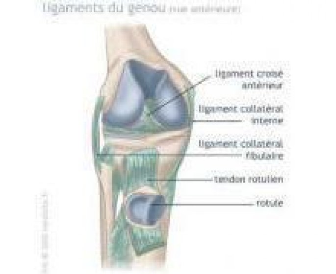 Une blessure frequente : Syndrome rotulien