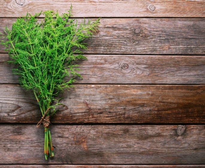 Plantes et traitement naturel anti-arthrose lombaire