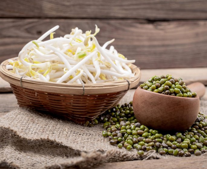 Les produits au soja contiennent des perturbateurs endocriniens 