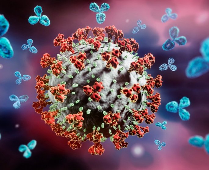 Variant BA.4 et BA.5 : avoir ete infecte par Omicron ne vous immunise pas