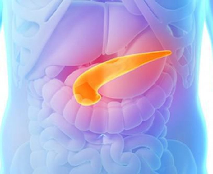 Cet aliment limite le risque de cancer du pancreas