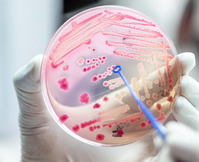 Gastro-enterite virale, bacterienne ou parasitaire : comment les reconnaitre ?