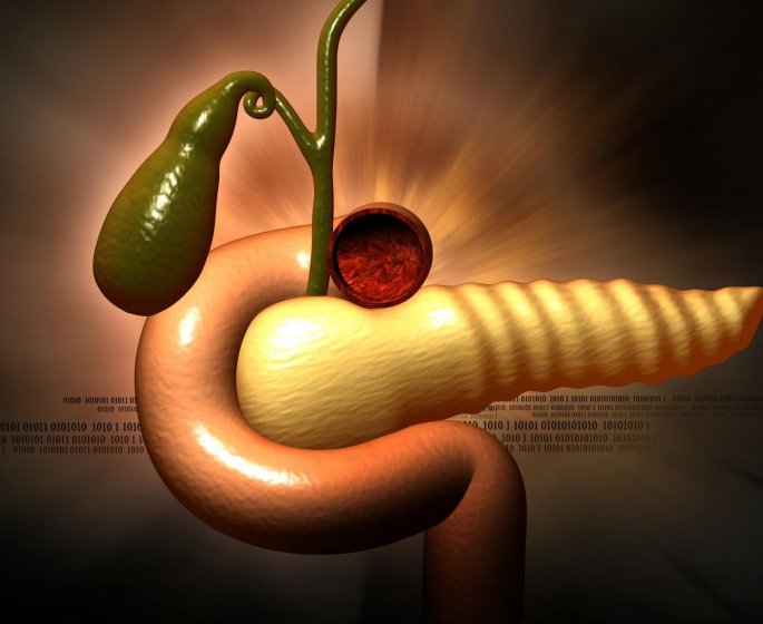 Cancer du pancreas : la vitamine D favoriserait la survie