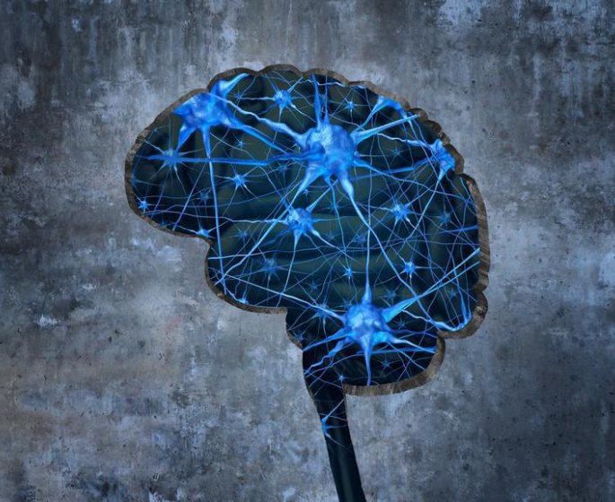 Autisme : la piste genetique privilegiee ?