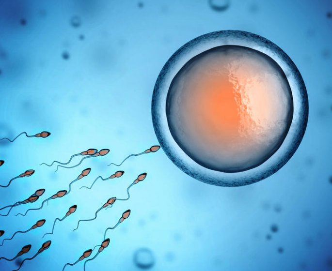 Insemination artificielle : comment se deroule la procedure ?