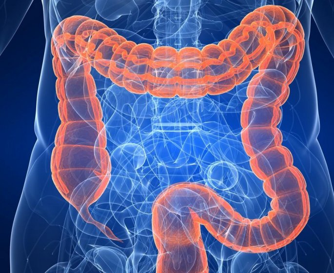 Pourquoi avoir un taux de cholesterol trop eleve augmente le risque de cancer du colon