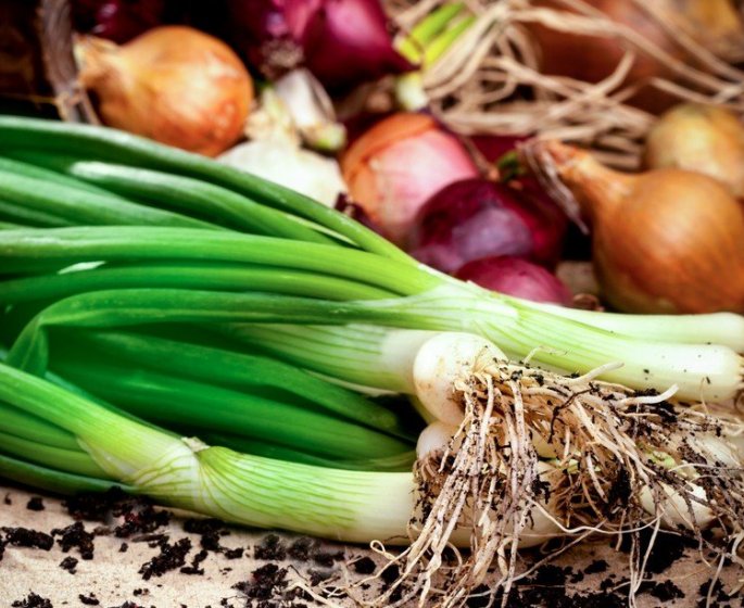 Poireaux : 5 recettes saines et de saison