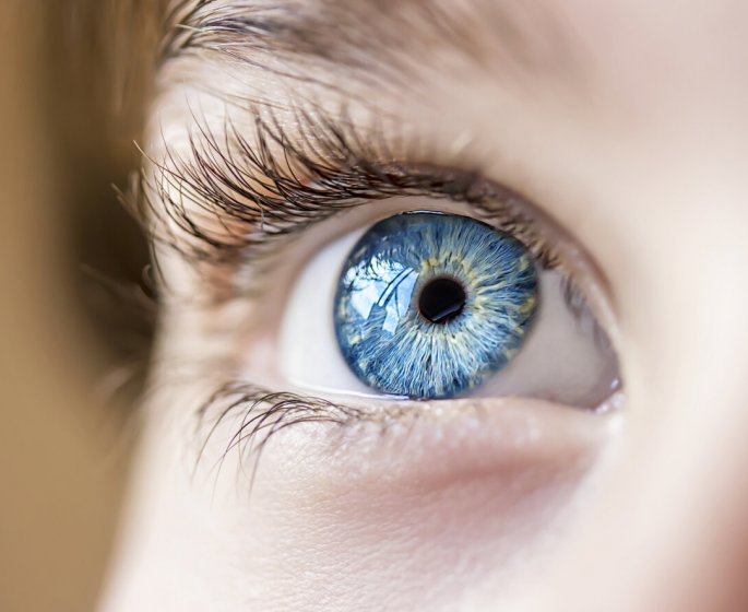 Sante oculaire : 3 aliments que mange regulierement une nutritionniste