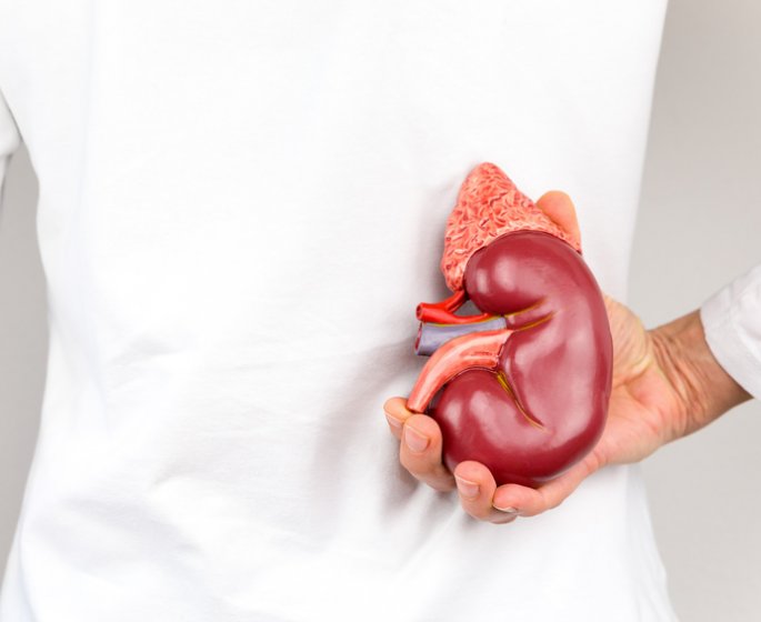 Dialyse : le principe de la fistule
