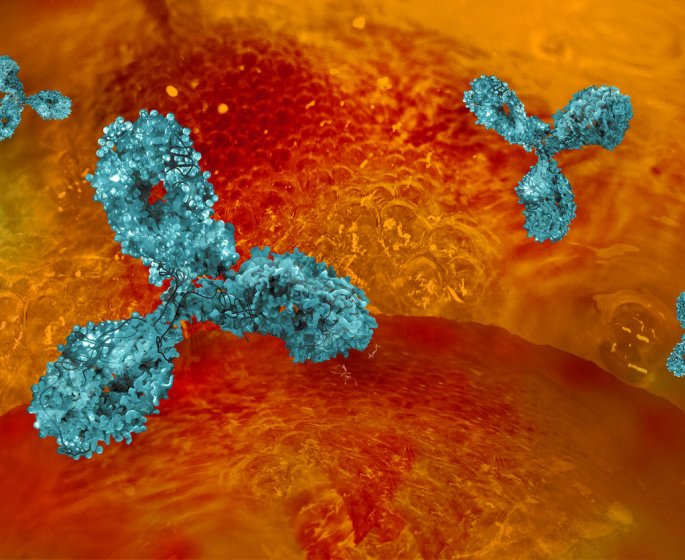 Comment detecter une maladie auto-immune ?