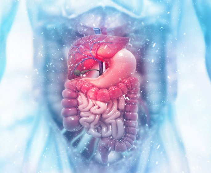 Maladie inflammatoire chronique de l’intestin (MICI) : tout savoir !