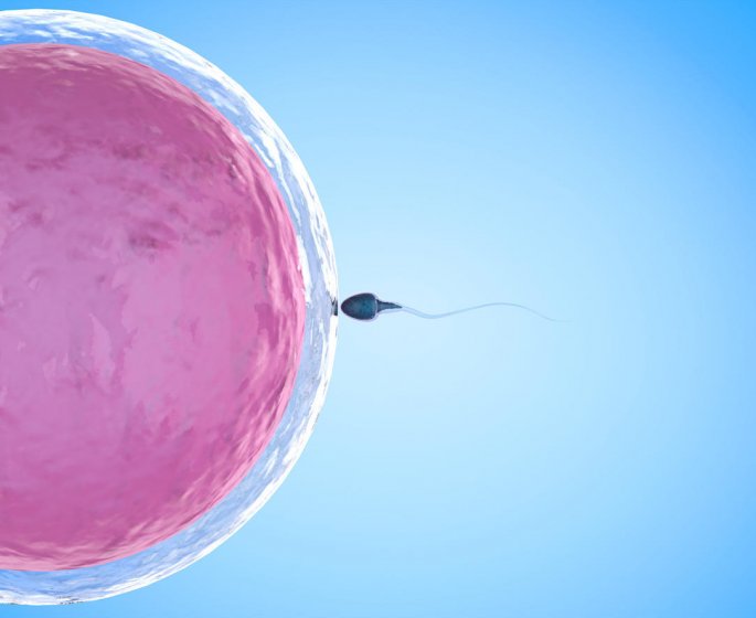 Comment notre naissance influence notre personnalite