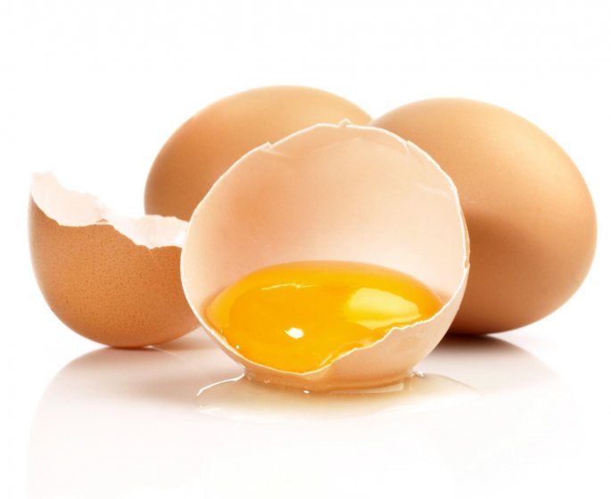 Pourquoi manger des œufs rendrait plus genereux ?